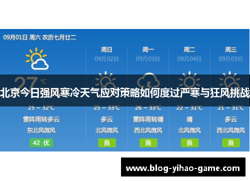 北京今日强风寒冷天气应对策略如何度过严寒与狂风挑战