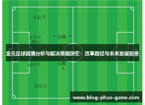 金元足球困境分析与解决策略探索：改革路径与未来发展前景