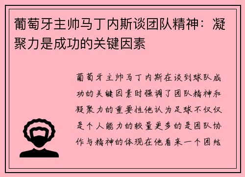 葡萄牙主帅马丁内斯谈团队精神：凝聚力是成功的关键因素