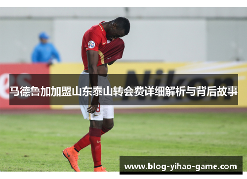 马德鲁加加盟山东泰山转会费详细解析与背后故事